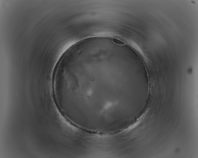 X0000094791087200711241356