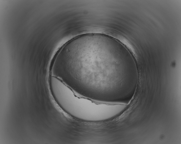 X0000094791088200711241356