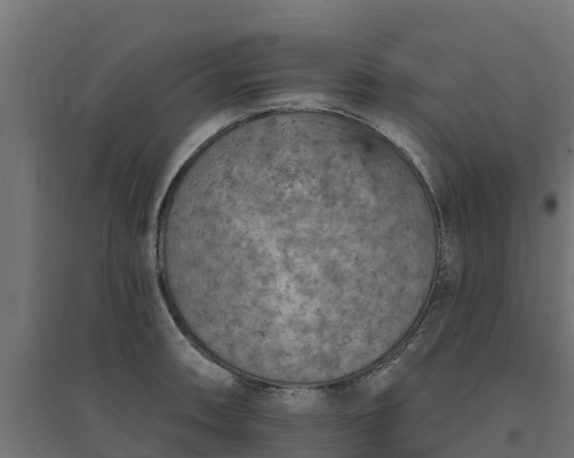 X0000094791090200711241356