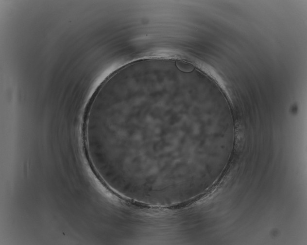 X0000094791091200711241356