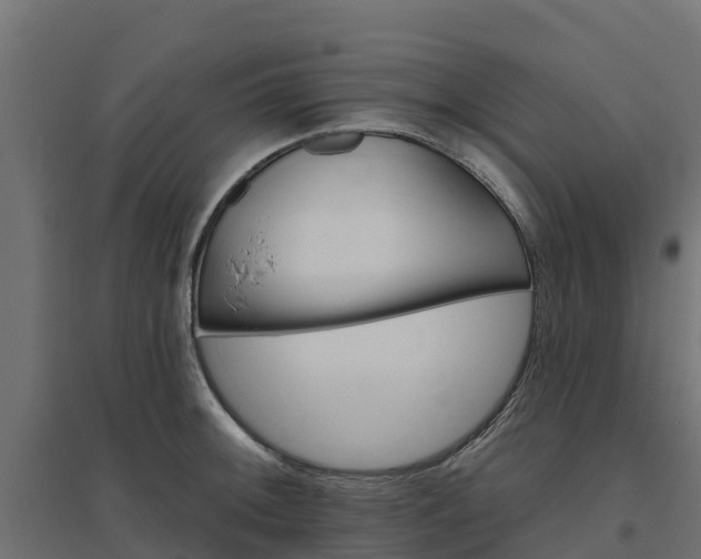 X0000094791092200711241356