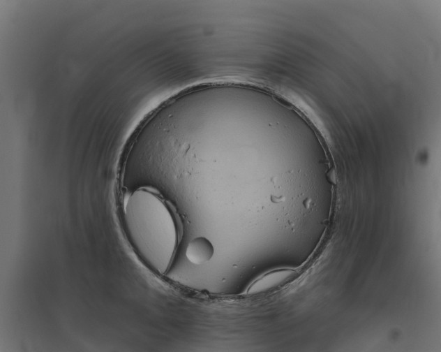 X0000094791093200711241356