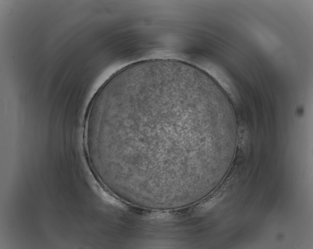 X0000094791094200711241356