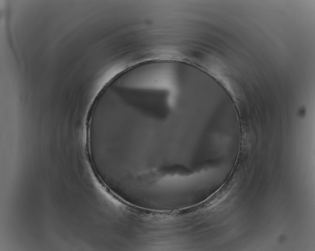 X0000094791095200711241356