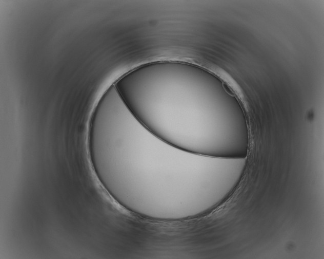 X0000094791096200711241356