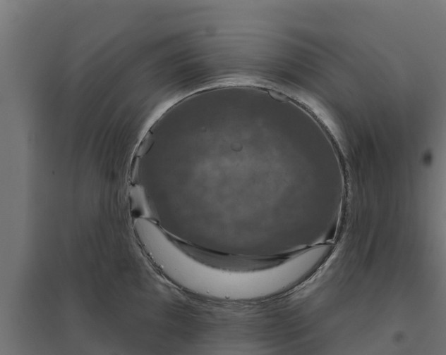 X0000094791097200711241356