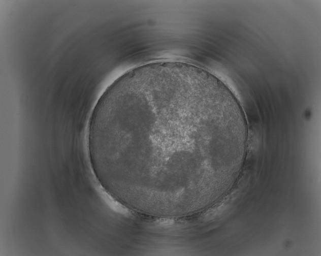 X0000094791098200711241356