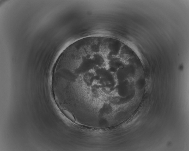 X0000094791099200711241356