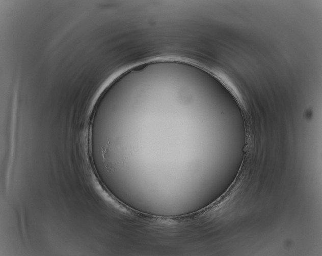 X0000094791100200711241356