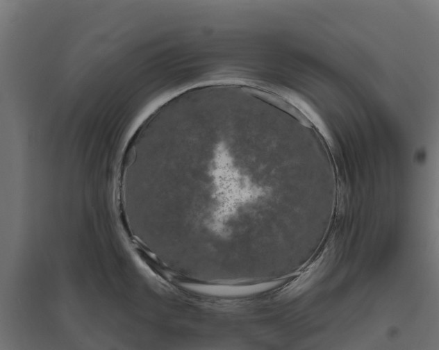 X0000094791101200711241356