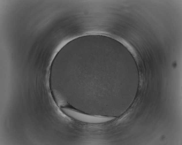 X0000094791102200711241356