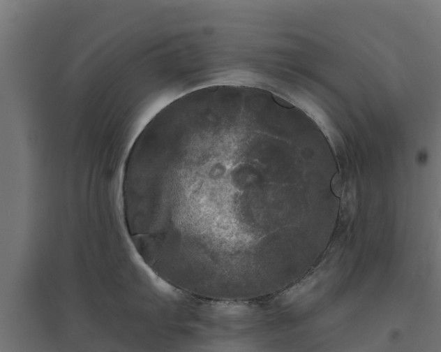 X0000094791103200711241356