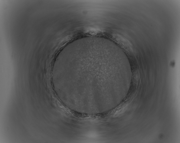 X0000094791105200711241355