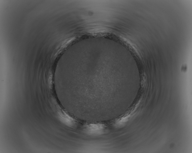 X0000094791108200711241355