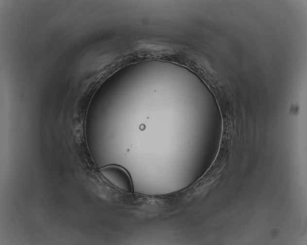 X0000094791109200711241355