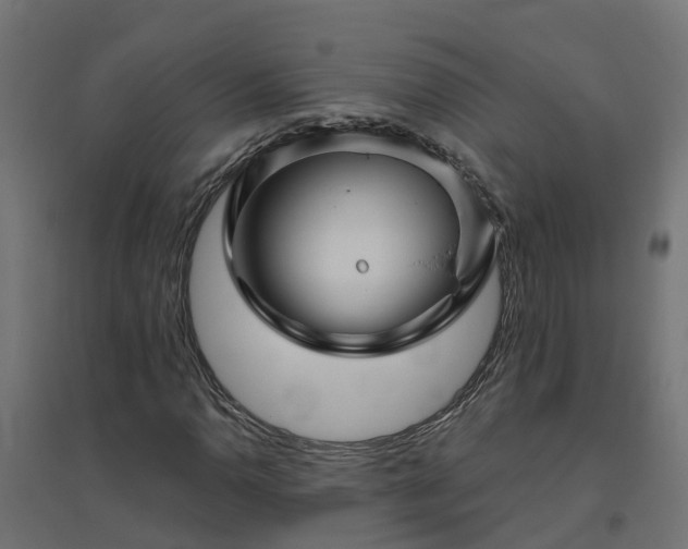 X0000094791110200711241355