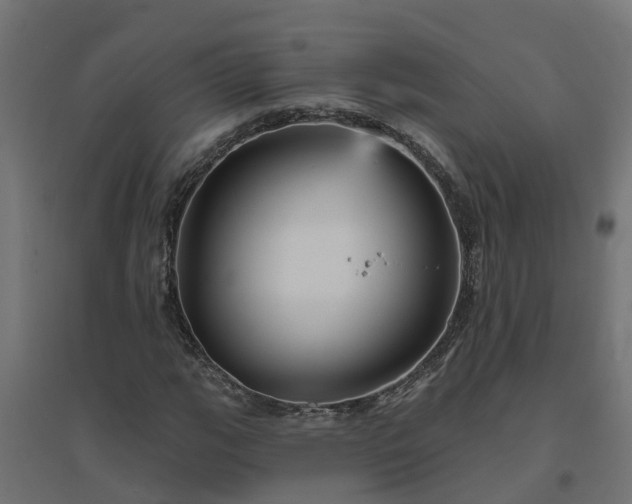 X0000094791111200711241355