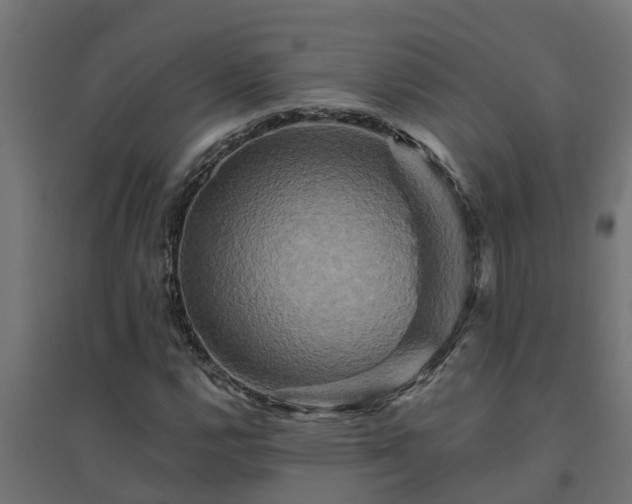 X0000094791112200711241355