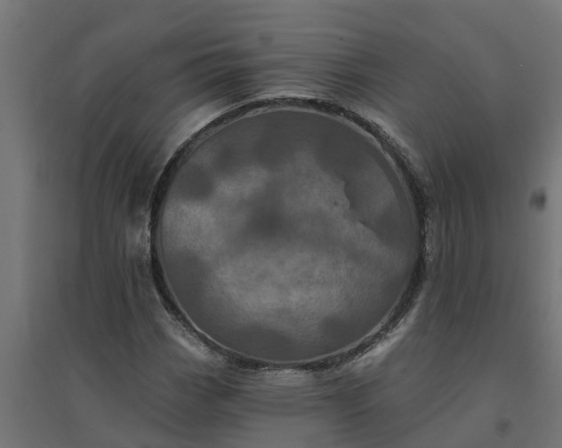 X0000094791113200711241355