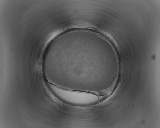 X0000094791114200711241355