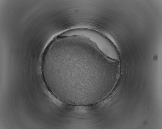 X0000094791116200711241355