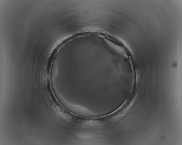 X0000094791117200711241355