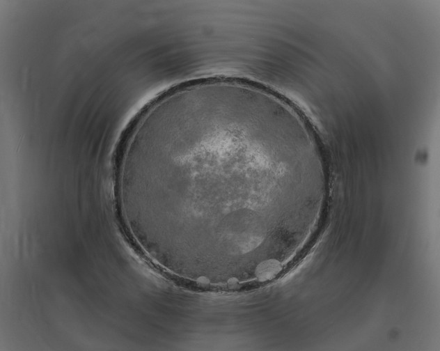 X0000094791118200711241355