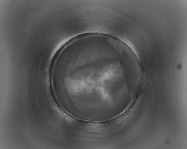 X0000094791120200711241355