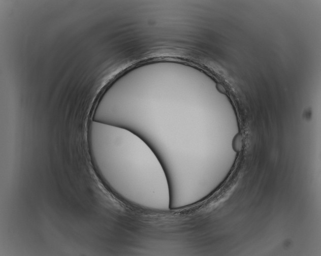 X0000094791121200711241355