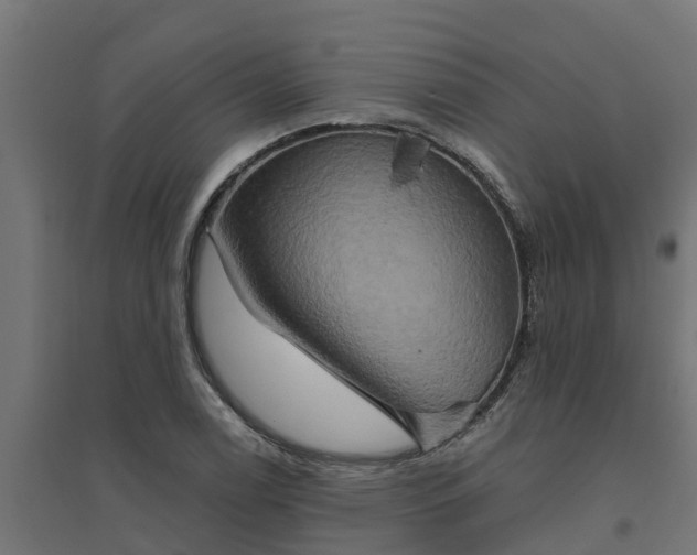 X0000094791122200711241355