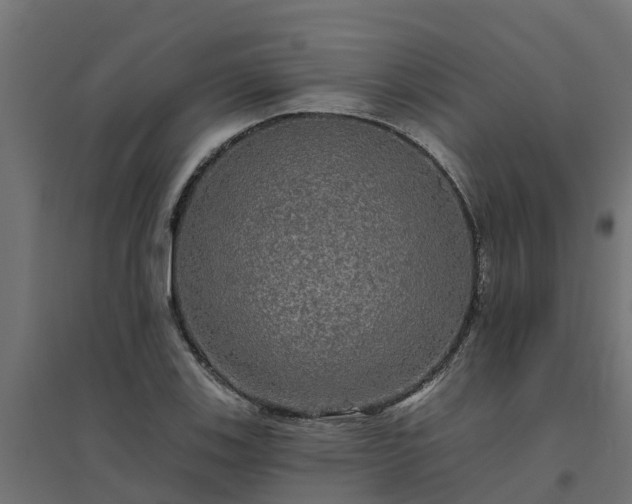 X0000094791123200711241355