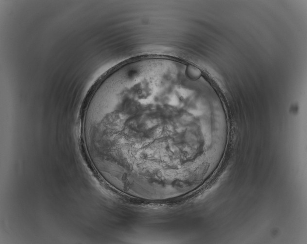 X0000094791125200711241355