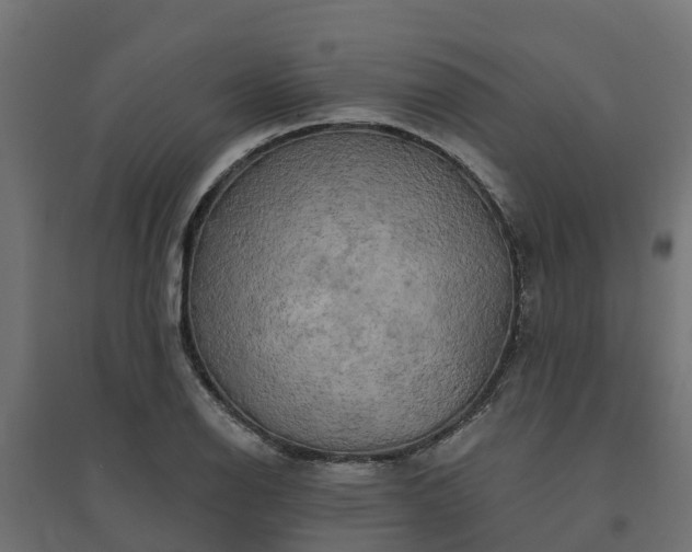 X0000094791126200711241355