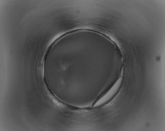 X0000094791127200711241355