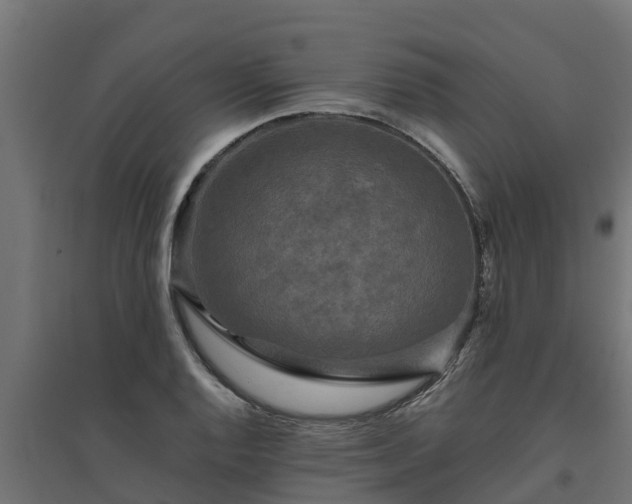 X0000094791128200711241355