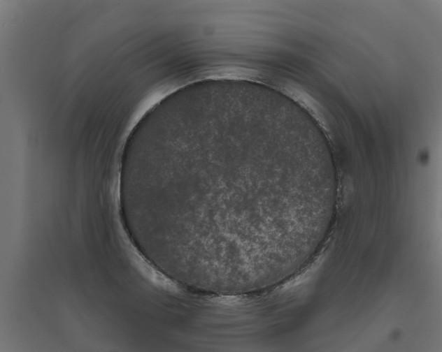 X0000094791130200711241355