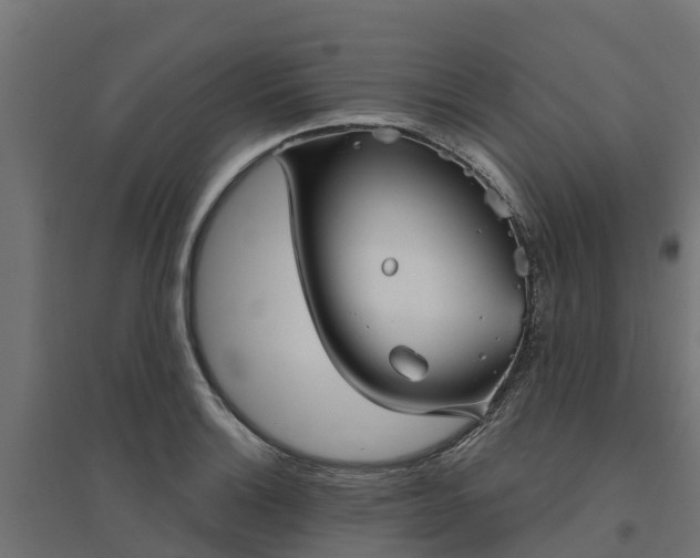 X0000094791132200711241355