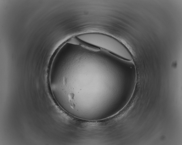 X0000094791134200711241356