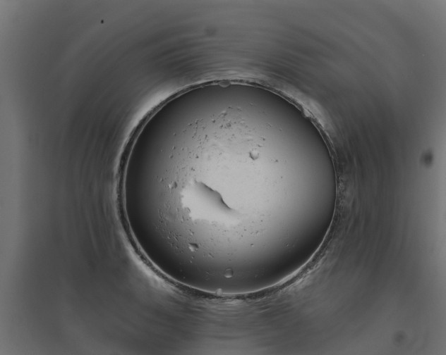 X0000094791135200711241356