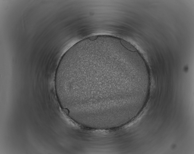 X0000094791137200711241356