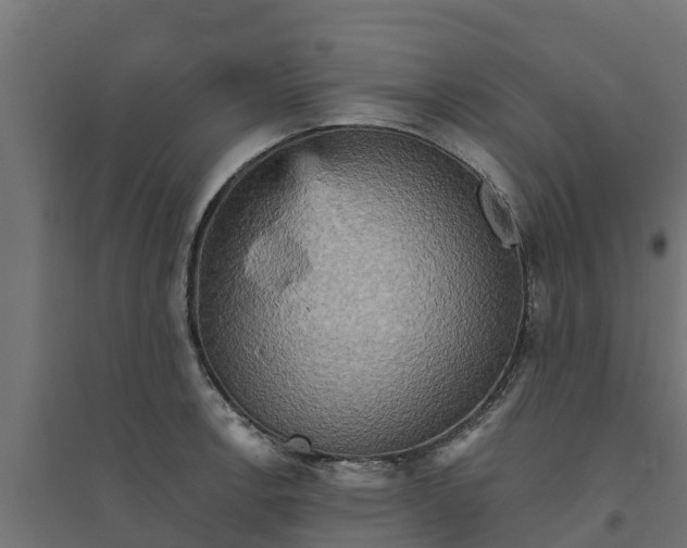 X0000094791138200711241356