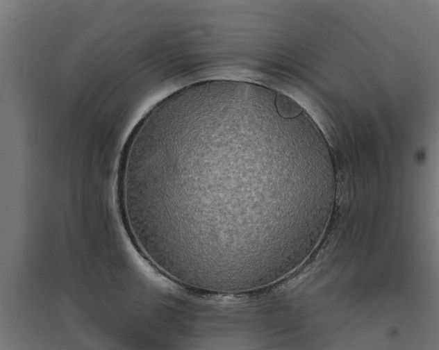 X0000094791139200711241356