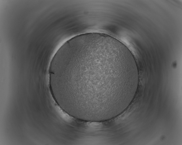 X0000094791140200711241356