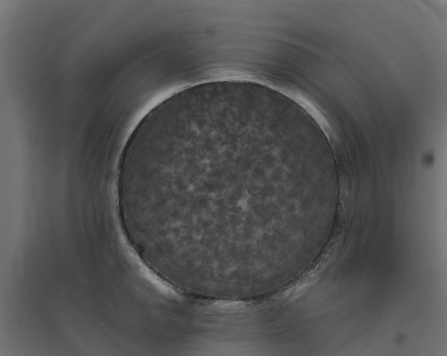 X0000094791142200711241356