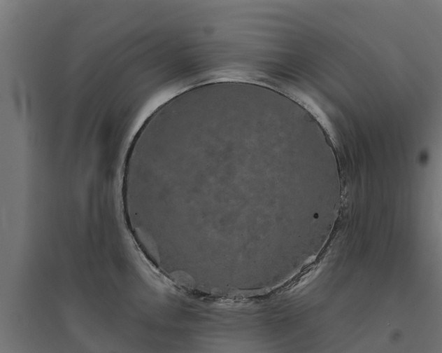 X0000094791146200711241356