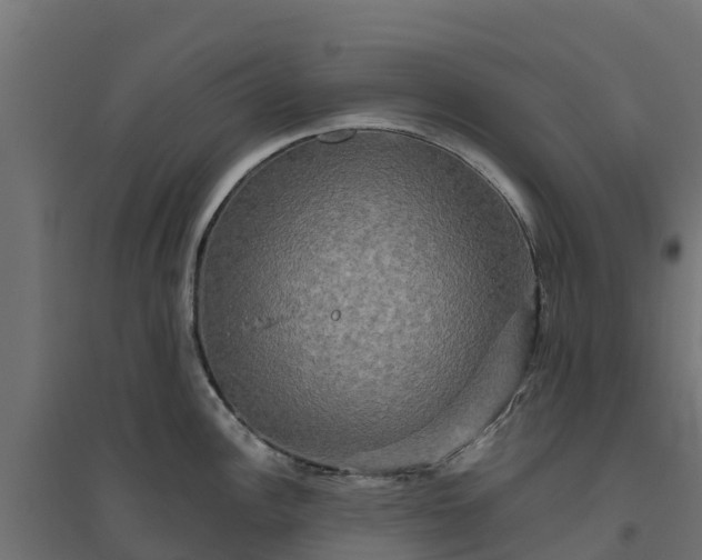 X0000094791148200711241356