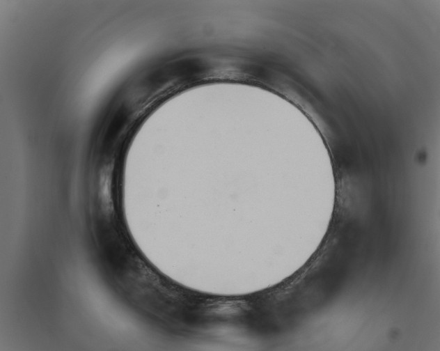 X0000094791150200711241356