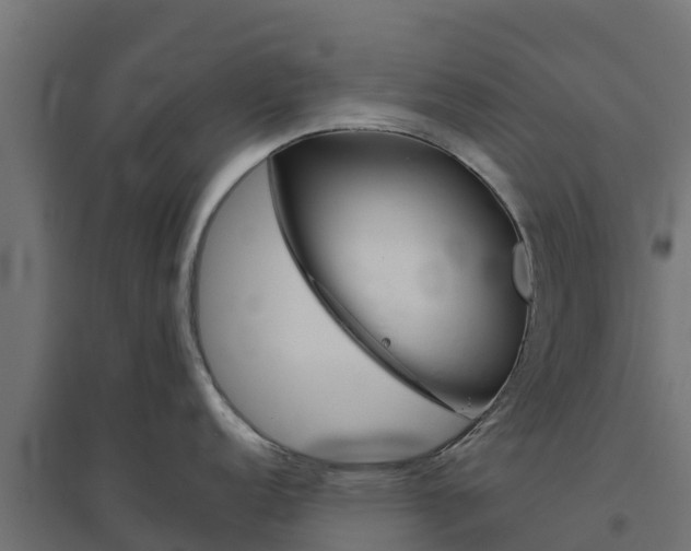 X0000094791152200711241356