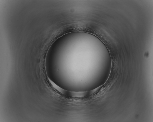 X0000094791153200711241355