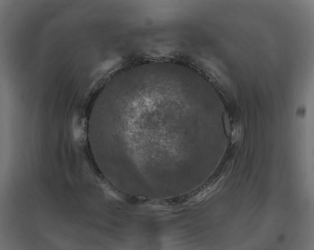 X0000094791156200711241355